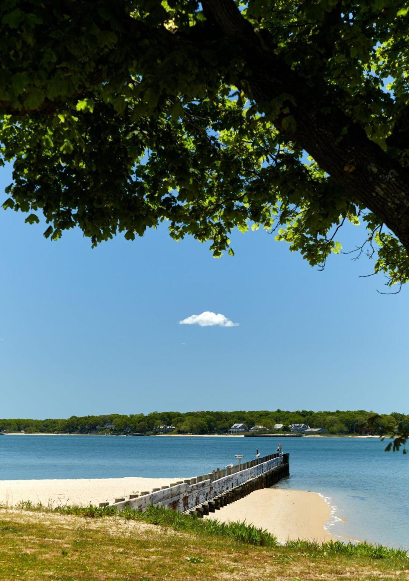 The Harbor Front
